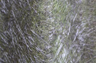 Studfold fibreglass roof work